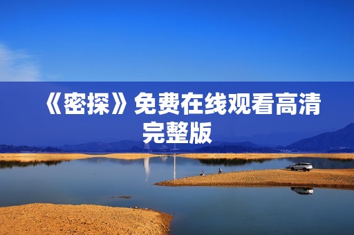 《密探》免费在线观看高清完整版