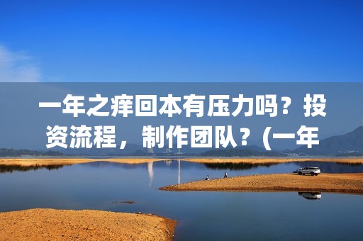 一年之痒回本有压力吗？投资流程，制作团队？(一年之痒2021)