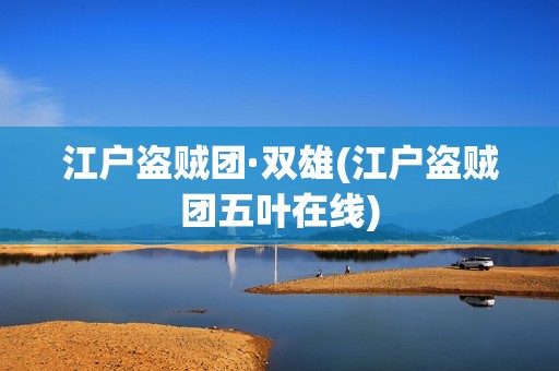 江户盗贼团·双雄(江户盗贼团五叶在线)