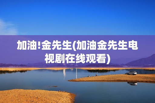加油!金先生(加油金先生电视剧在线观看)