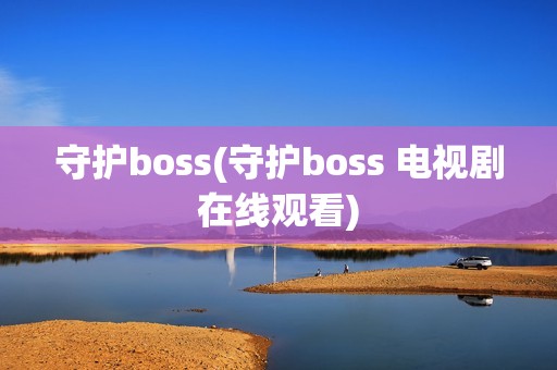 守护boss(守护boss 电视剧在线观看)