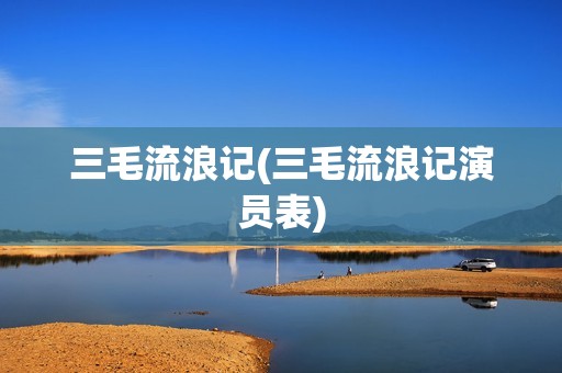 三毛流浪记(三毛流浪记演员表)