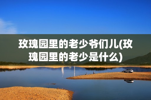 玫瑰园里的老少爷们儿(玫瑰园里的老少是什么)