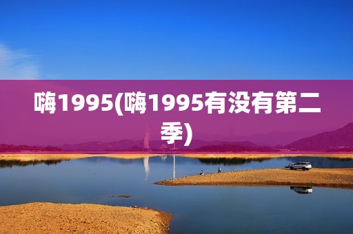嗨1995(嗨1995有没有第二季)