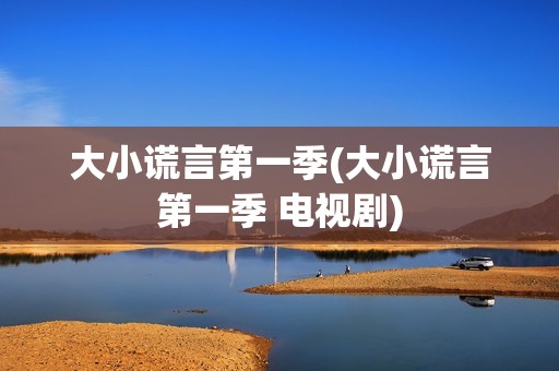 大小谎言第一季(大小谎言第一季 电视剧)