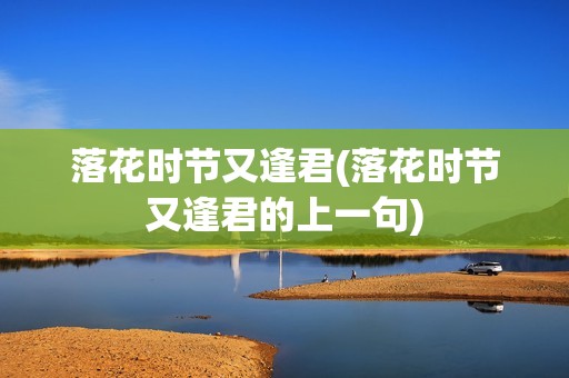 落花时节又逢君(落花时节又逢君的上一句)