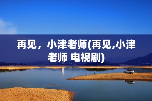 再见，小津老师(再见,小津老师 电视剧)