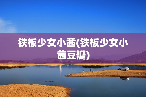 铁板少女小茜(铁板少女小茜豆瓣)