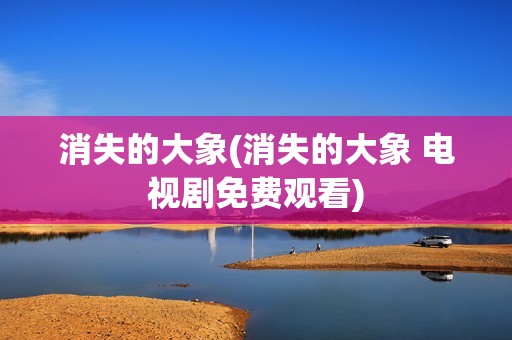 消失的大象(消失的大象 电视剧免费观看)