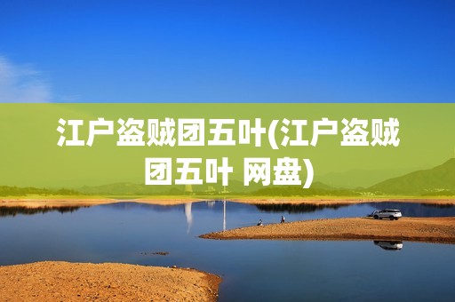 江户盗贼团五叶(江户盗贼团五叶 网盘)