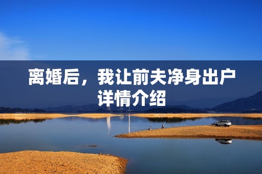 离婚后，我让前夫净身出户详情介绍