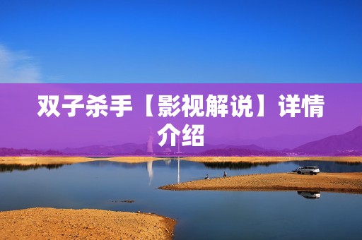双子杀手【影视解说】详情介绍