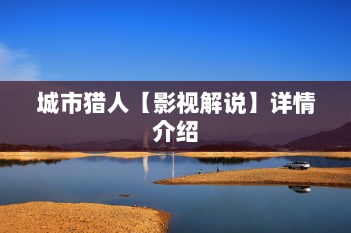 城市猎人【影视解说】详情介绍