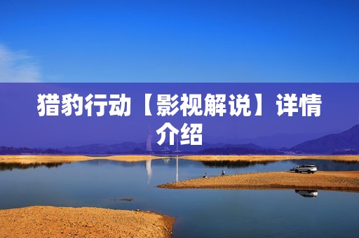 猎豹行动【影视解说】详情介绍