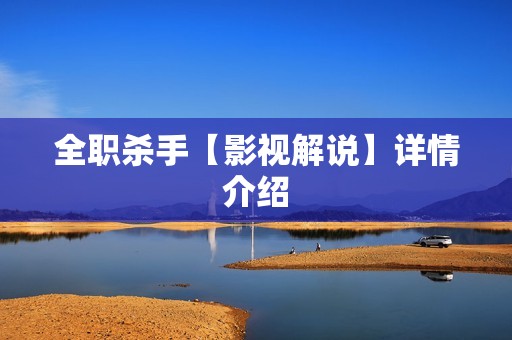 全职杀手【影视解说】详情介绍