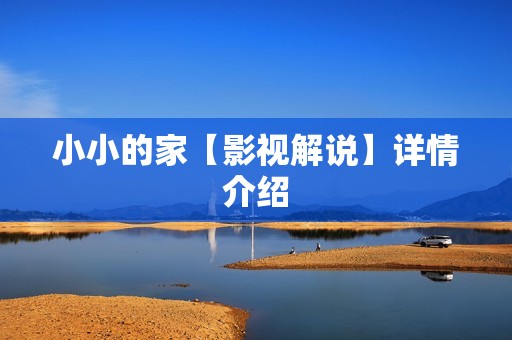 小小的家【影视解说】详情介绍