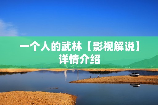 一个人的武林【影视解说】详情介绍