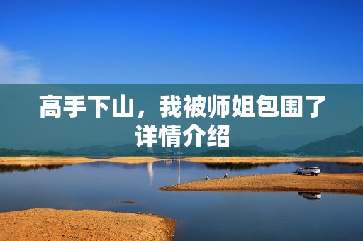 高手下山，我被师姐包围了详情介绍