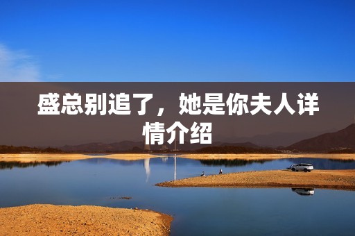 盛总别追了，她是你夫人详情介绍