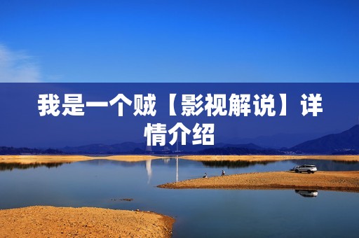 我是一个贼【影视解说】详情介绍