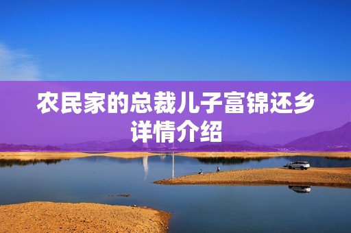 农民家的总裁儿子富锦还乡详情介绍
