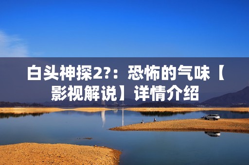 白头神探2?：恐怖的气味【影视解说】详情介绍
