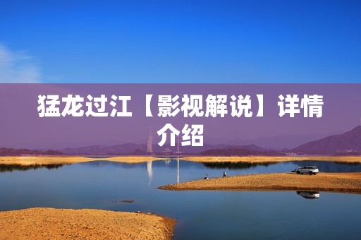 猛龙过江【影视解说】详情介绍