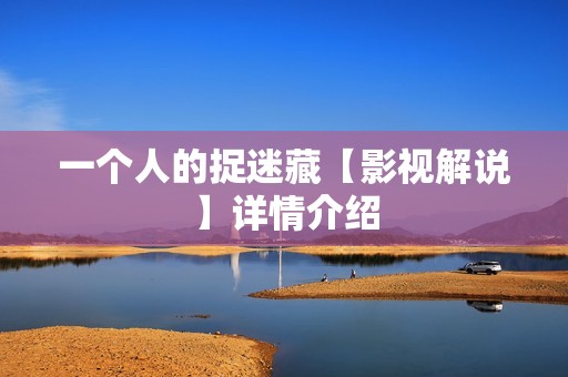 一个人的捉迷藏【影视解说】详情介绍