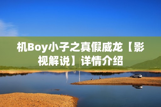 机Boy小子之真假威龙【影视解说】详情介绍
