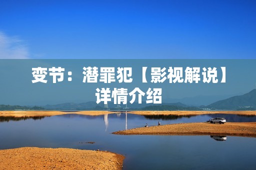 变节：潜罪犯【影视解说】详情介绍