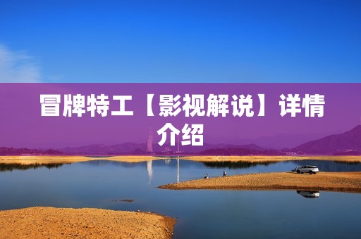 冒牌特工【影视解说】详情介绍