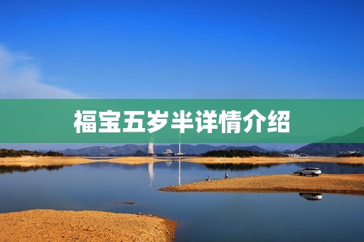 福宝五岁半详情介绍