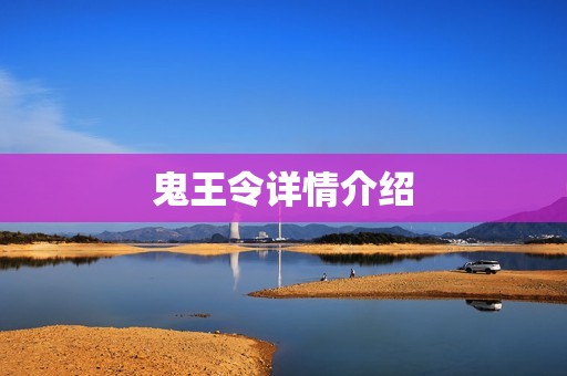 鬼王令详情介绍