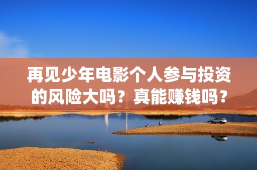 再见少年电影个人参与投资的风险大吗？真能赚钱吗？(再见 少年电影)
