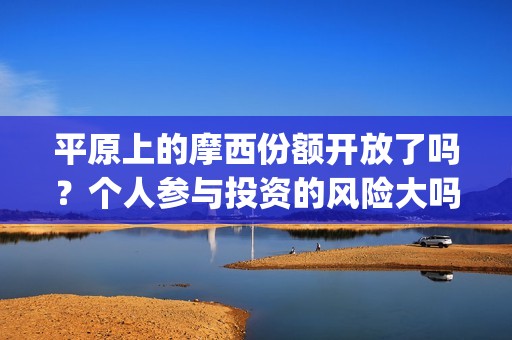 平原上的摩西份额开放了吗？个人参与投资的风险大吗？能赚钱吗？(平原上的摩西含义)