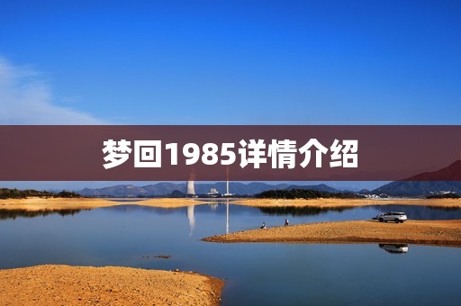 梦回1985详情介绍