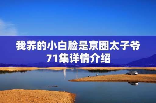 我养的小白脸是京圈太子爷71集详情介绍