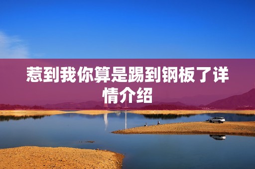 惹到我你算是踢到钢板了详情介绍