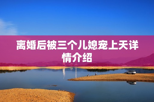 离婚后被三个儿媳宠上天详情介绍