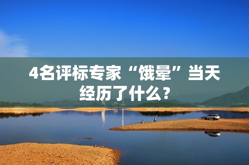 4名评标专家“饿晕”当天经历了什么？