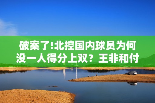 破案了!北控国内球员为何没一人得分上双？王非和付政浩道出原因