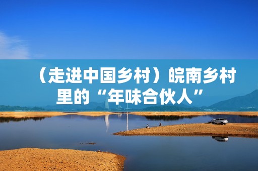 （走进中国乡村）皖南乡村里的“年味合伙人”