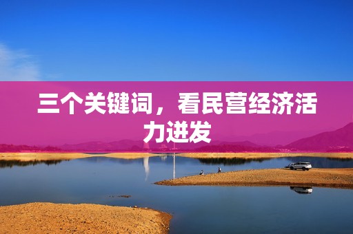 三个关键词，看民营经济活力迸发