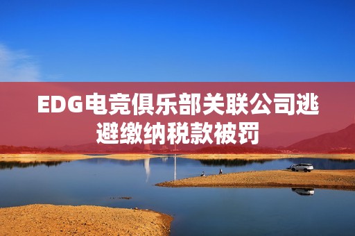EDG电竞俱乐部关联公司逃避缴纳税款被罚