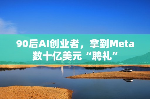 90后AI创业者，拿到Meta数十亿美元“聘礼”