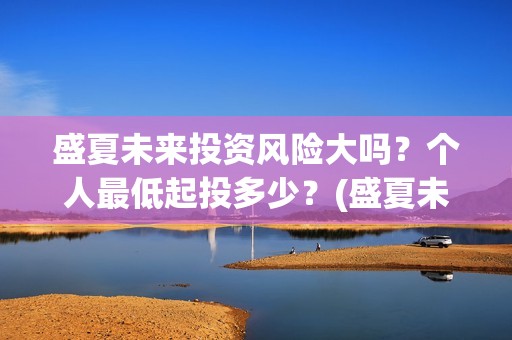 盛夏未来投资风险大吗？个人最低起投多少？(盛夏未来出品公司)