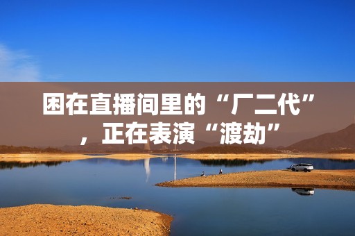 困在直播间里的“厂二代”，正在表演“渡劫”