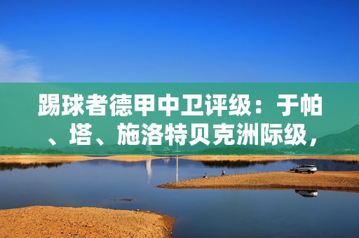 踢球者德甲中卫评级：于帕、塔、施洛特贝克洲际级，金玟哉国脚级