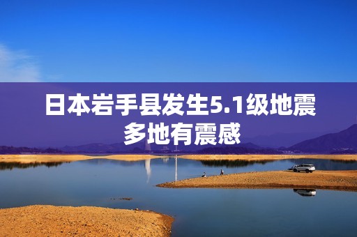 日本岩手县发生5.1级地震 多地有震感