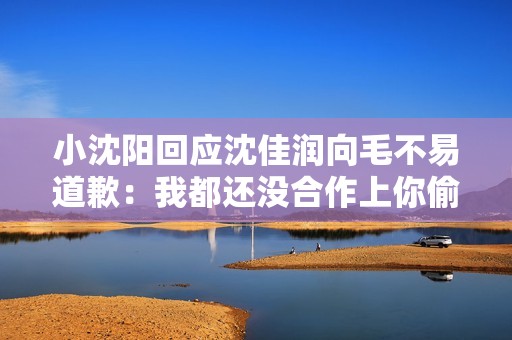 小沈阳回应沈佳润向毛不易道歉：我都还没合作上你偷着乐吧
